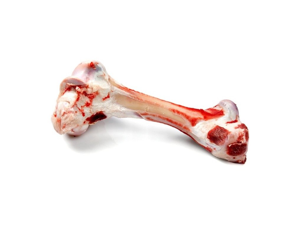 Hovězí kost na okus